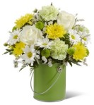 Clifford's Color Your Day Flowers Green